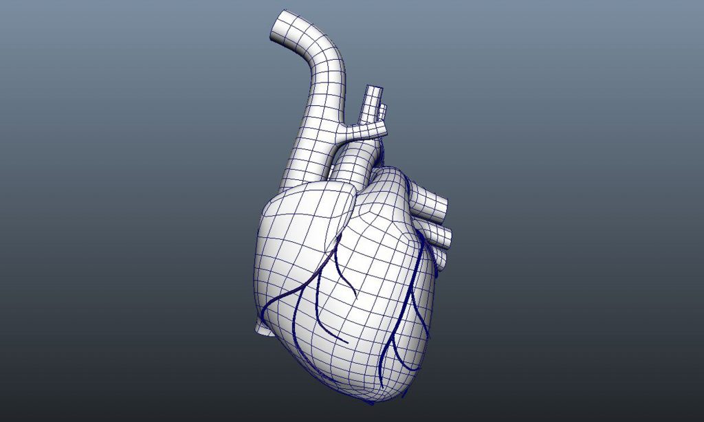 Animiertes Modell eines Herzens
